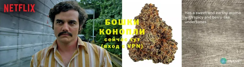 как найти закладки  мориарти состав  МАРИХУАНА Ganja  Энгельс 